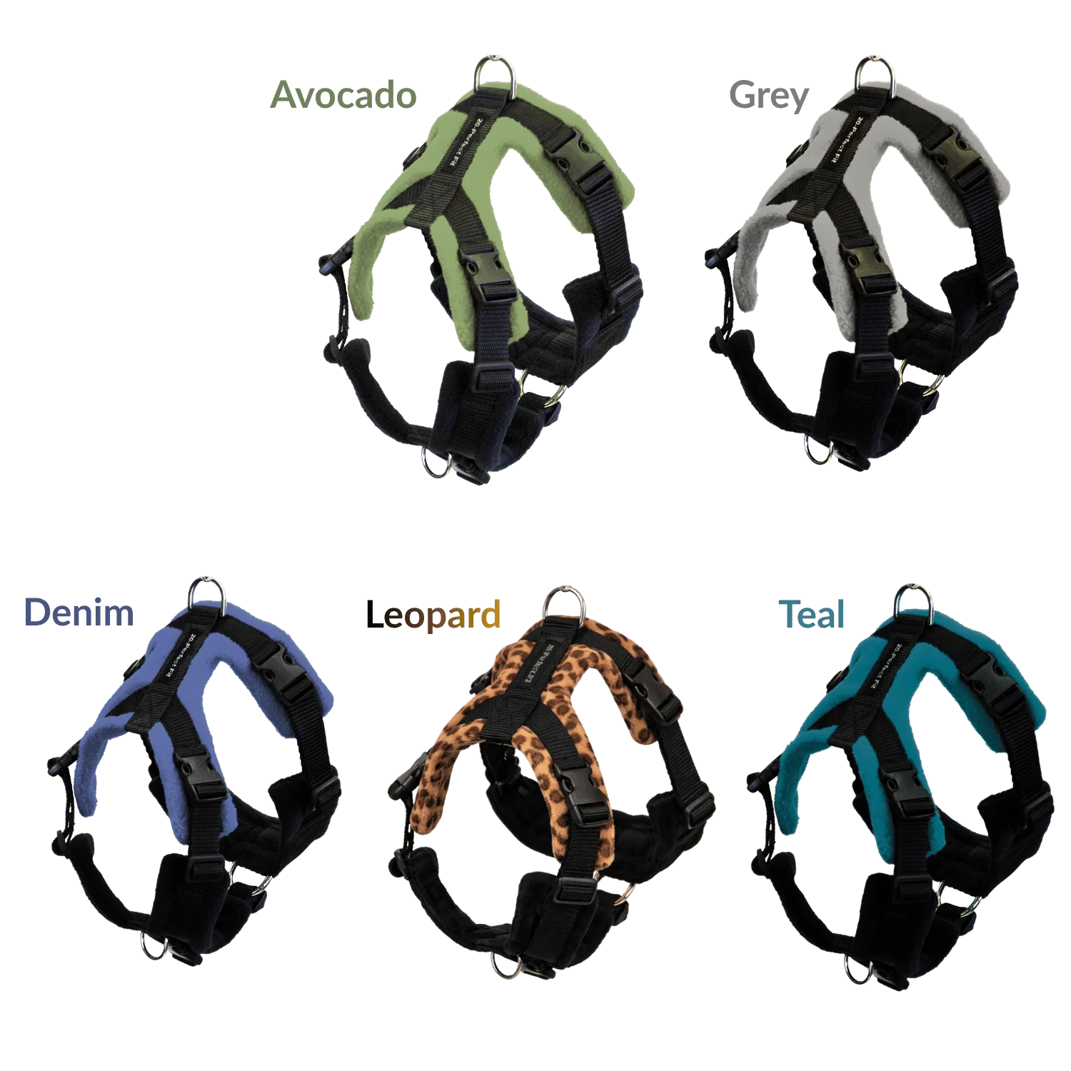 A Custom Fit for Every Dog